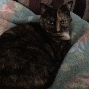 Meet your Posher, Nancy